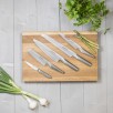 GLOBAL Knife Set 5-pcs G-2, 9, GS-5, 11, 38